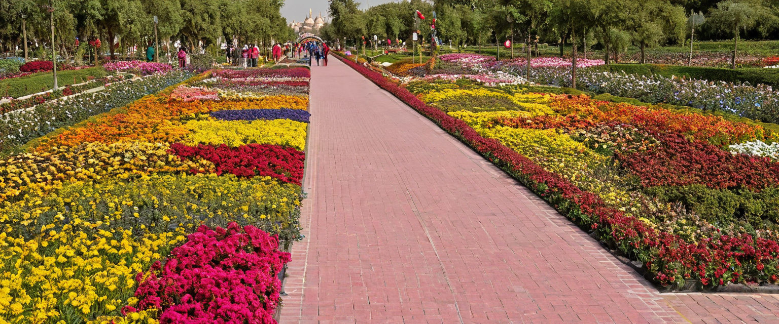Do transport costs make a cheaper Dubai Miracle Garden ticket worse value travel planning visual